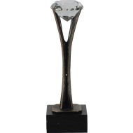Internationale Luxe is meer dan Awards kopen? Bestel unieke awards bij - Sportprijzen.com